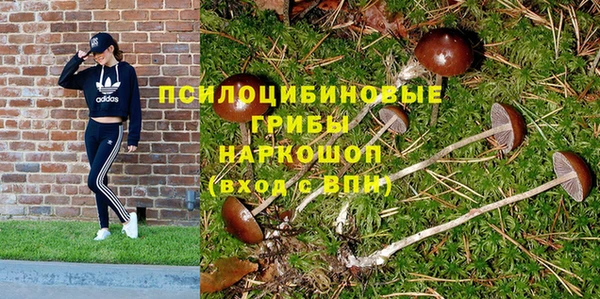 apvp Абдулино