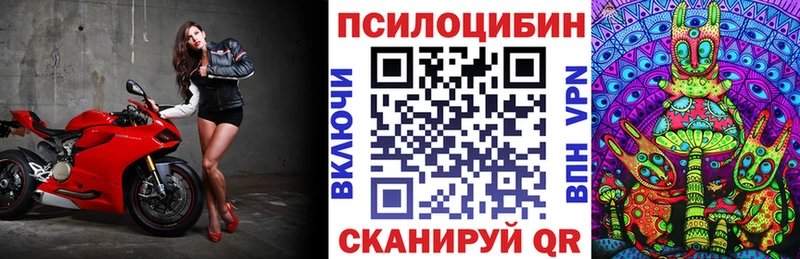 kraken tor  Болохово  Галлюциногенные грибы прущие грибы 