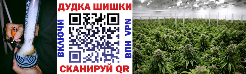 Конопля конопля  магазин  наркотиков  Болохово 